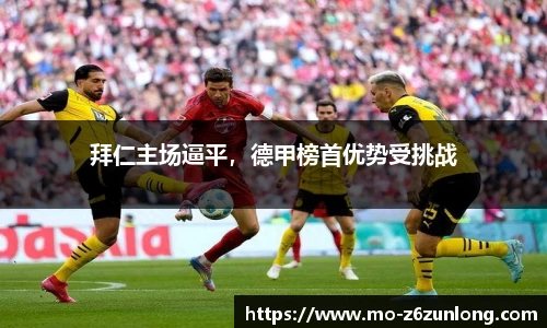 Z6·尊龙凯时