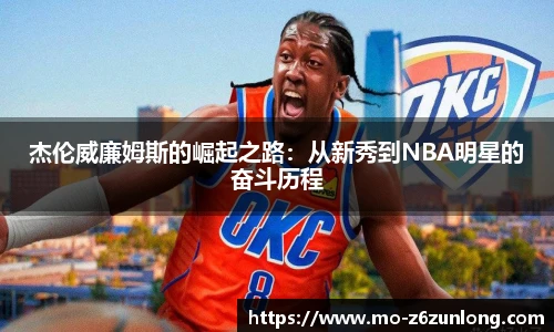 Z6·尊龙凯时