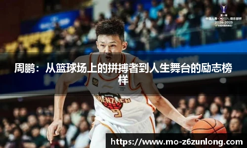 Z6·尊龙凯时